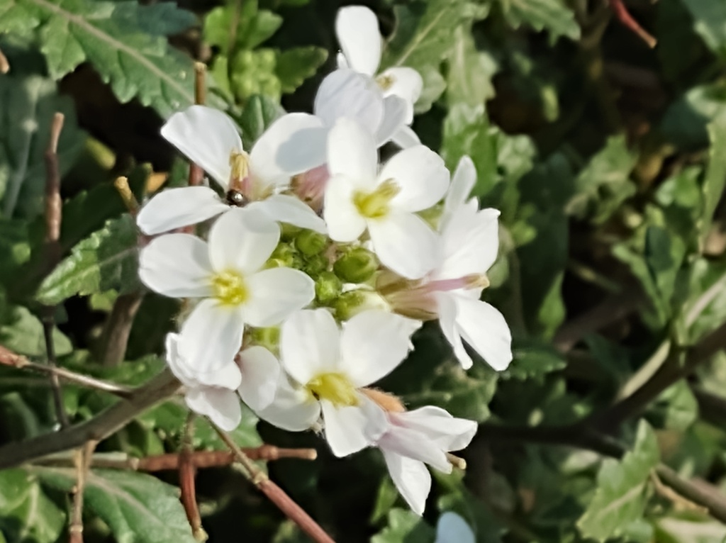 No s'ha trobat l'arxiu